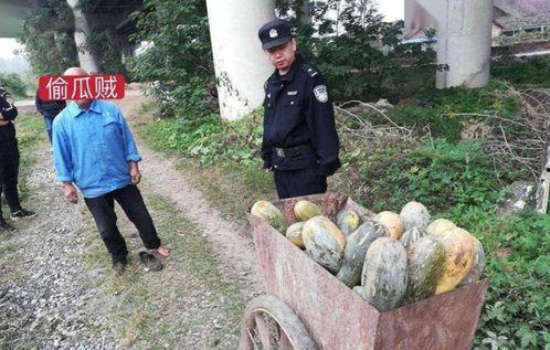 福山网红吃瓜事件真相视频,揭秘真相背后的惊人内幕