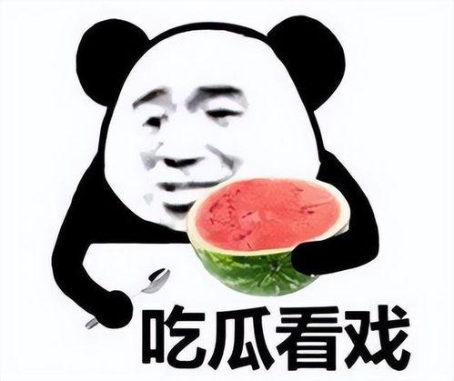 吃瓜表情包怎么回复幽默句子